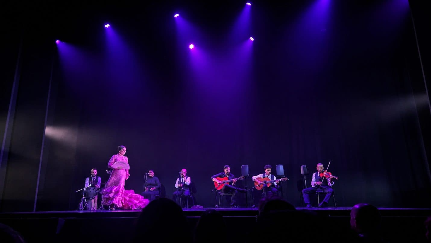 Gran Gala Flamenco en escena bajo una luz violeta: una bailaora con vestido rosa de volantes en pleno movimiento, flanqueada por la compañía sentada de guitarristas, cantaores, percusión y violín